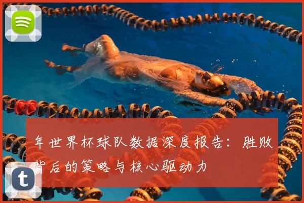 年世界杯球队数据深度报告：胜败背后的策略与核心驱动力