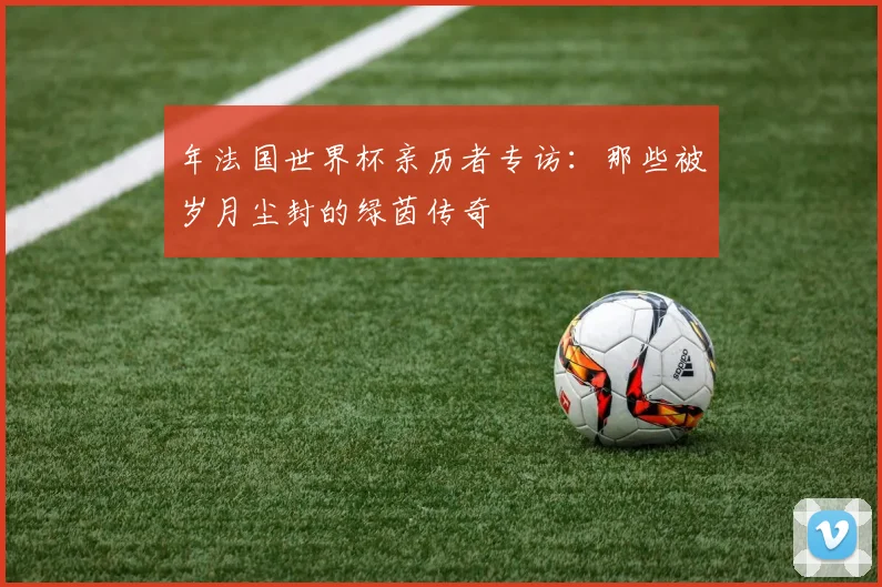 年法国世界杯亲历者专访:那些被岁月尘封的绿茵传奇