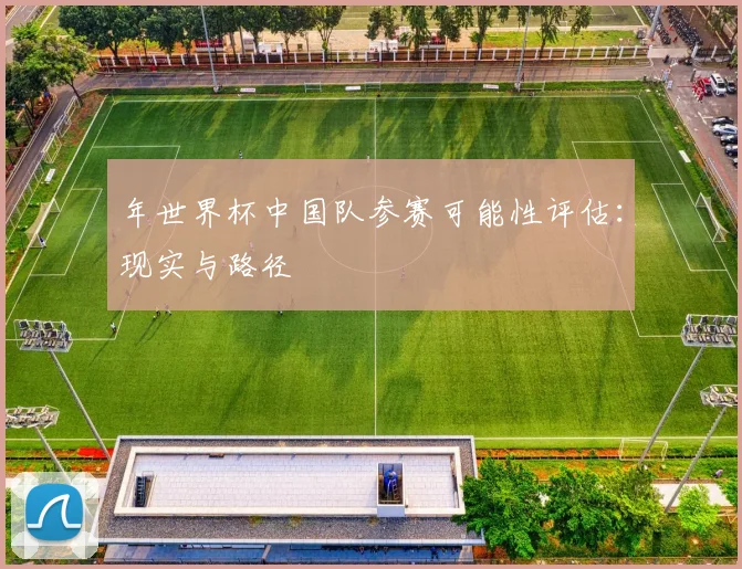 年世界杯中国队参赛可能性评估:现实与路径