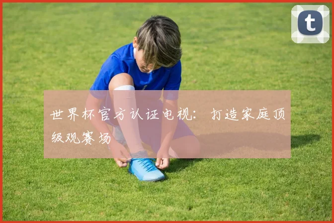 世界杯官方认证电视：打造家庭顶级观赛场